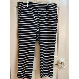 Loft Riviera Pant Size 14.